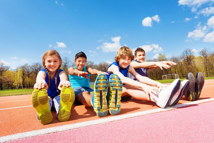 Curriculum Update: PENZ Letter to the Minister of Education