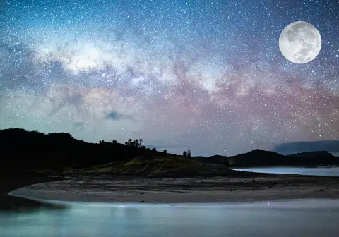Kaihautū Whakahaere Update: June 2025