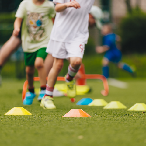 Valuing the role of the Primary School HPE Curriculum Lead in Aotearoa New Zealand