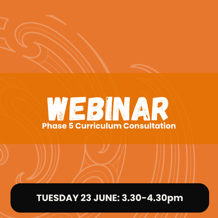 WEBINAR: Phase 5 Curriculum Consultation