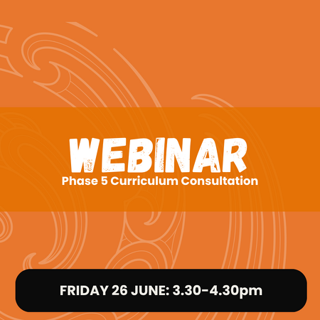 WEBINAR: Phase 5 Curriculum Consultation