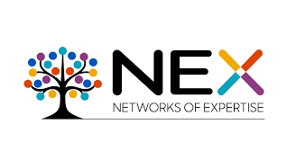 Networks of Expertise
